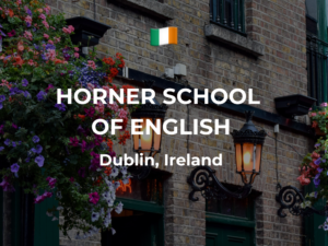 adult english courses dublin