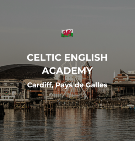 ecole anglais cardiff